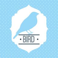 Bird Design N16