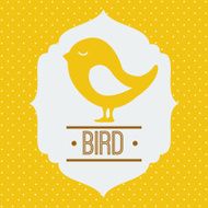 Bird Design N17