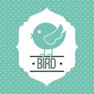 Bird Design N19