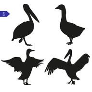 Set of vector silhouettes birds