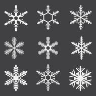 Set of snowflakes geometric shapes vector
