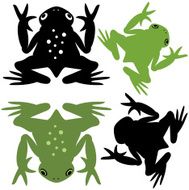 Frog N16