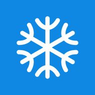 snowflake icon N20