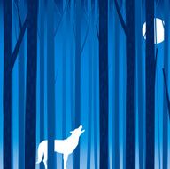 Forest tree background