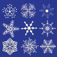 Snowflakes collection Ornamental snowflakes Print