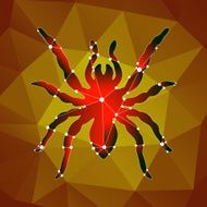 tarantula