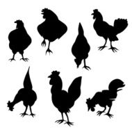 Hen and cock silhouettes