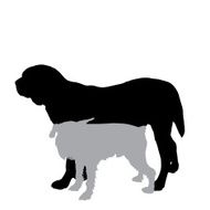 Vector silhouette of a dog N147