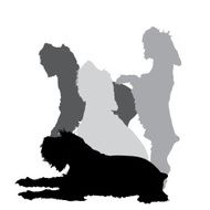 Vector silhouette of a dog N148