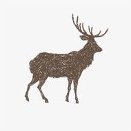 Deer hand drawn isolated on a white backgrounds vector illustration