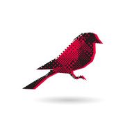 Bird abstract isolated on a white backgrounds vector illustration