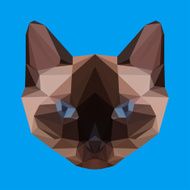 polygonal siamese cat background N2
