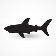 Shark Silhouette N8