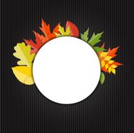 Shiny Autumn Natural Leaves Background Vector Illustration N26