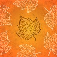 Pattern with autumn leaves in orange