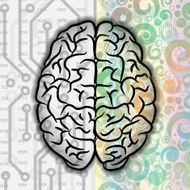 Human Brain N45