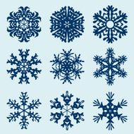 Snowflake icon Winter theme snowflakes of different shapes N6