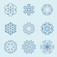 Snowflake icon Winter theme snowflakes of different shapes N7