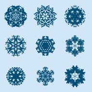 Snowflake icon Winter theme snowflakes of different shapes N8