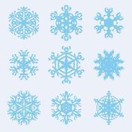 Snowflake icon Winter theme snowflakes of different shapes N10