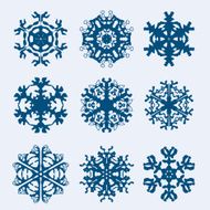 Snowflake icon Winter theme snowflakes of different shapes N11