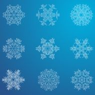 Snowflake icon Winter theme snowflakes of different shapes N15