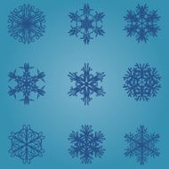 Snowflake icon Winter theme snowflakes of different shapes N17