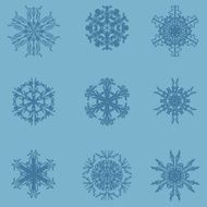 Snowflake icon Winter theme snowflakes of different shapes N18