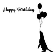 happy birthday N565