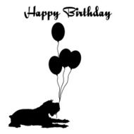 happy birthday N566