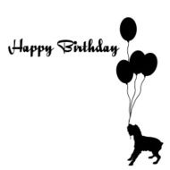 happy birthday N567