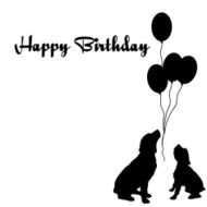happy birthday N569
