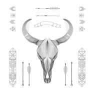 Abstract animal background line art Skull Antlers Vector Isolated N2