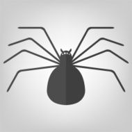 Spider icon for Halloween