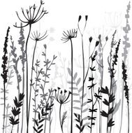 Silhouettes of flowers and grass N44