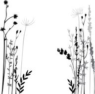 Silhouettes of flowers and grass N45