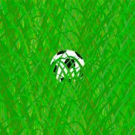 soccer ball in grass