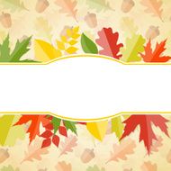 Shiny Autumn Natural Leaves Background Vector Illustration N32