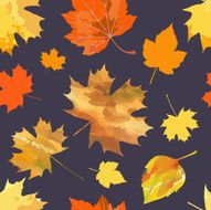leaf fall N2