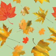 Autumn N77