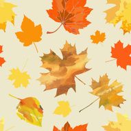 autumn leaves N68