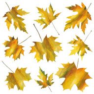 yellow leaves N2