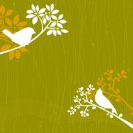 Birds Green Background