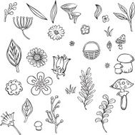 vector illustration with silhouettes of different flowers