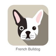 French bulldog face flat icon dog series