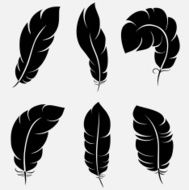 Feathers collection N3