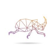 Beetle abstract isolated on a white backgrounds vector illustration
