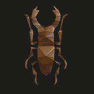 Beetle abstract isolated on a black backgrounds vector illustration