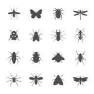 Insects N4