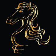 Golden horse silhouette on a black background